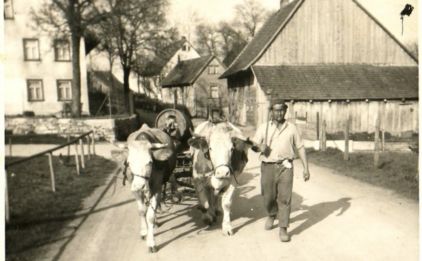 Gülle muss weg! (Hermann Flaig auf der Eschbronner Straße in Lackendorf). [Seite 43]